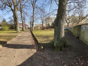 Jüdischer Friedhof