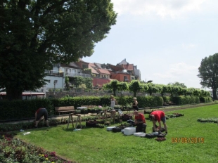 SOMMERBLUMENBEPFLANZUNG 2019